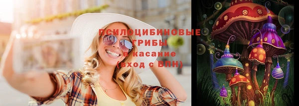 крисы Аркадак