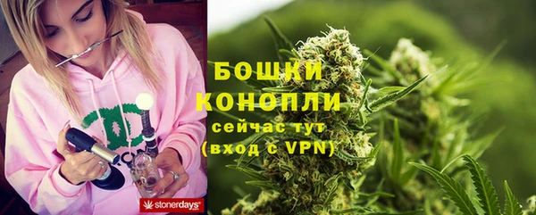 крисы Аркадак