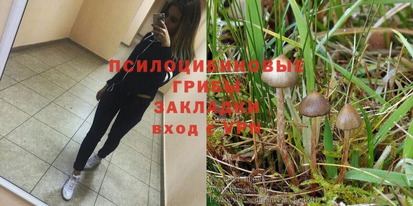 СК Армянск