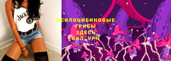 крисы Аркадак
